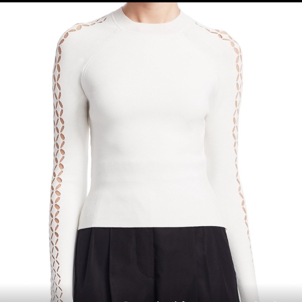 🤍⭐️Alexander Wang cutout raglan sweater🤍⭐️